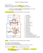 Anatomie en fysiologie tractus circulatius deel 1 (hart en bloedvaten), module 2
