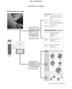 Samenvatting  van hematologie 