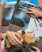 samenvatting eerste 5 hoofdstukken anatomie, fysiologie pathologie 