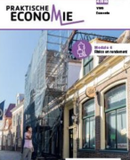 Samenvatting risico en rendement module 6 (praktisch economie)