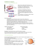 samenvatting hoofdstuk 14 reageren, biologie nectar havo 5 