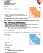 Gehoor en evenwicht: Luisterkubus / Logopedie en audiologie fase 2 