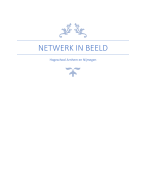 Netwerk in beeld - sociaal pedagogische hulpverlening/ social work