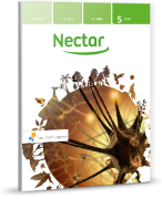 Samenvatting H14: Waarnemen Nectar 4e ed vwo 5 Biologie