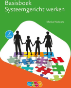 Systemisch werken verslag Viaa