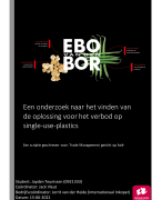 Scriptie International Business