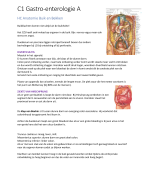 KVS C1 Gastro-enterologie A Samenvatting