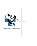 Beroepsproduct 6.1: Professioneel samenwerken