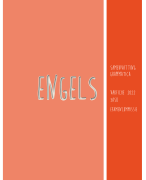 Engels samenvatting grammatica examencommissie 3ASO vakfiche 2022