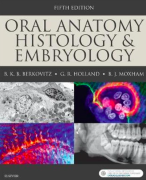 Samenvatting Oral Anatomy, Histology & Embryology (Berkovitz) - H17 t/m 25