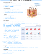 Samenvatting huid en immuniteit 6VWO