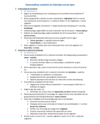 Samenvatting werking van het oog