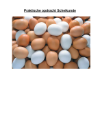 PO Scheikunde: Wat is het verschil in carbonaatgehalte van witte eierschalen ten opzichte van bruine