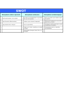 Bedrijfswaardering en Besturing SWOT en Confrontatiematrix opdracht week 6