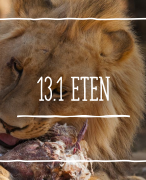 Biologie hoofdstuk 13 en 14.1 planten en dieren 14.1 je invloed op de aarde