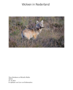 Verslag Wolven in Nederland