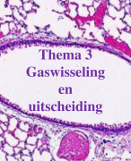 PowerPoint+ aantekeningen thema 2 Gaswisseling en uitscheiding  Biologievoorjou VWO 6