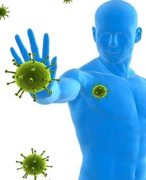 PowerPoint+ aantekeningen thema 4 Afweer Biologievoorjou VWO 6