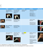 Tabel myologie extremiteiten - 1e bachelor tandheelkunde