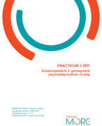 PRACTICUM 2 SPP Examenopdracht 2: 16/20