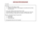 Sociale Psychologie, deel 2 