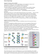 Samenvatting biologie DNA (biologie voor jou)