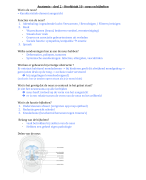 Anatomie: neus 