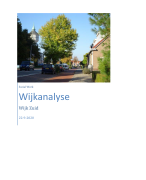 Wijkanalyse - social work