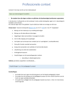 Samenvatting professionele context: Context 3