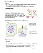 Biologie voor Jou-Hoofdstuk 1:Regeling