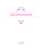 Samenvatting zaakverzekeringen 