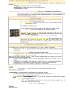 Politieke geschiedenis van België (deelexamen)