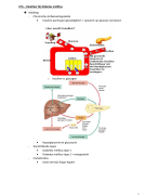 VRHv1 - LPA - Dieetleer diabetes 