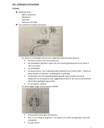 VRHv1 - LPB - Pathologie en farmacologie - Urologie 