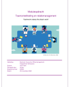 Moduleopdracht Teamontwikkeling en Relatiemanagement | Cijfer: 8,5