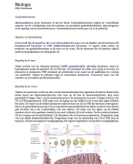 Biologie H2§3 Hormonen // 4 Vwo