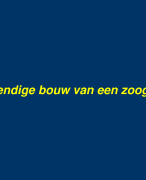 Dissectie zoogdier  rat -konijn