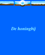 Onderzoek van de  honingbij