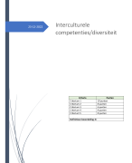 Interculturele competenties / diversiteit verslag (Social Work 4e jaar)