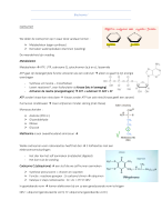 Samenvatting Biochemie I 2e bachelor diergeneeskunde UGent : alle schemas van de te kennen pathways inbegrepen