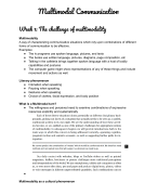 Multimodal Communication CIS YEAR 1