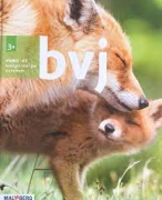 Bundel titel