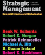 Summary Strategy and Organisation (6012S0017Y) - UvA, grade: 8