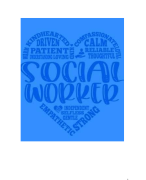 3 werelden model Social Work