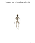 Samenvatting anatomie van het beenderstelsel deel 1