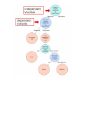 Summary Research Methodology I Course 