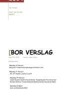 Bor verslag