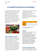 Eindwerk: Is voedsel een bron van energie?