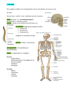 Samenvatting biologie Thema 4 Stevigheid en beweging Biologie voor Jou 1 havo/vwo deel b