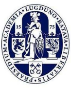 Filosofie PW jaar 1, samenvatting